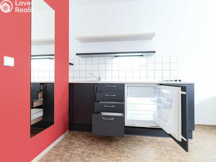 Pronájem bytu 1+KK Praha, Křížová č. 1