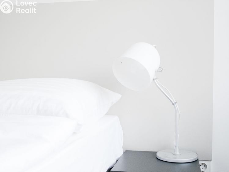 Pronájem bytu 1+KK Praha, Křížová č. 5