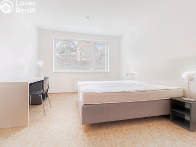 Rent apartment 1+KK Praha, Křížová č. 2