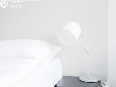 Rent apartment 1+KK Praha, Křížová č. 5