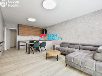 Rent apartment 1+KK Ostrava, Koksová č. 1