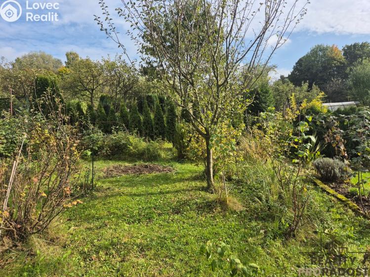 Sale hut Třinec, Kaštanová č. 6