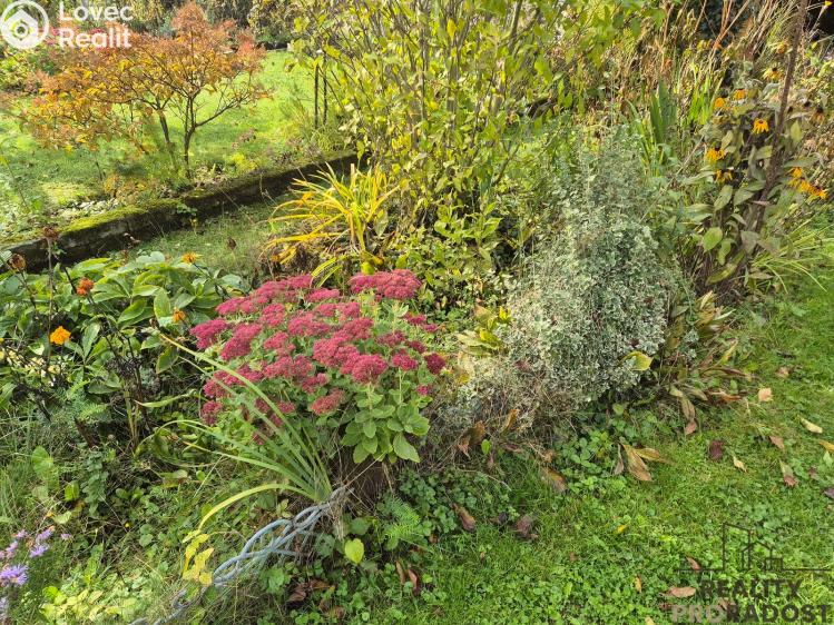 Sale hut Třinec, Kaštanová č. 8