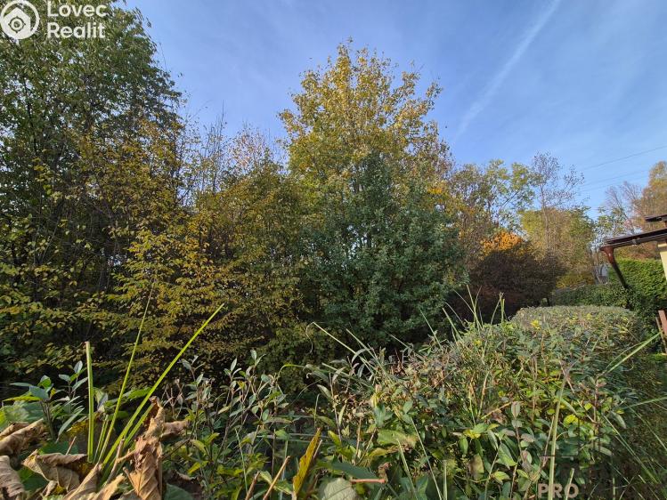 Sale hut Třinec, Kaštanová č. 27