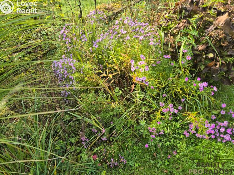 Prodej chaty Třinec, Kaštanová č. 7