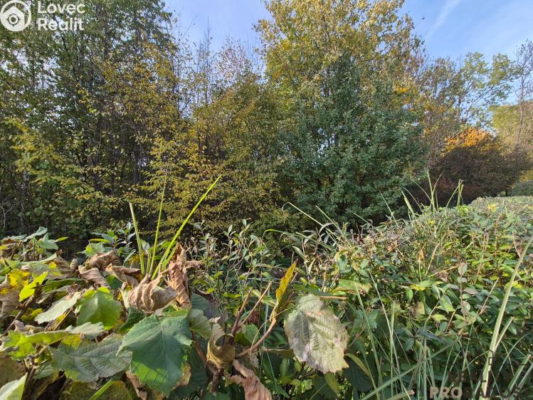 Prodej chaty Třinec, Kaštanová č. 15