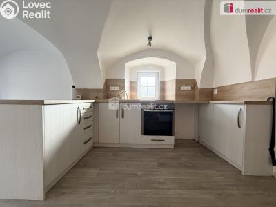 Rent apartment 3+KK Vchynice č. 1