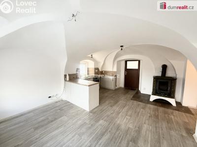 Rent apartment 3+KK Vchynice č. 3