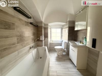 Rent apartment 3+KK Vchynice č. 5