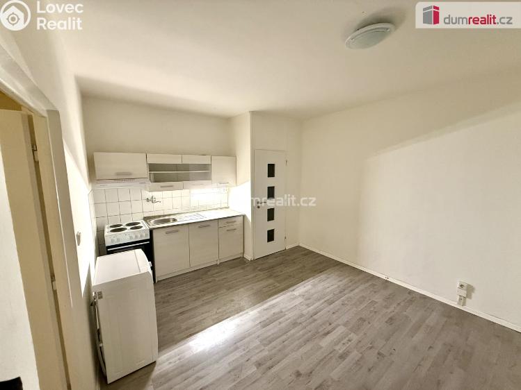 Pronájem bytu 1+1 Jílové, E. Krásnohorské č. 7