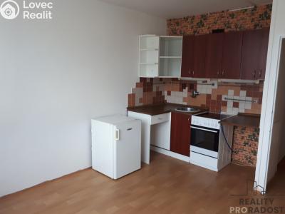 Rent apartment 1+KK Děčín, Kamenická č. 1