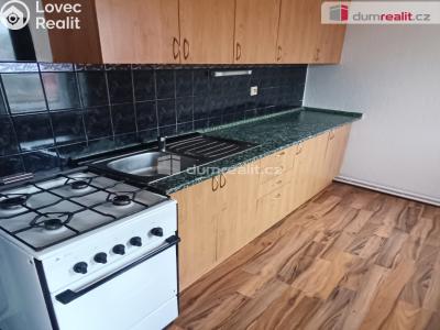 Rent apartment 2+1 Děčín, Křížová č. 2