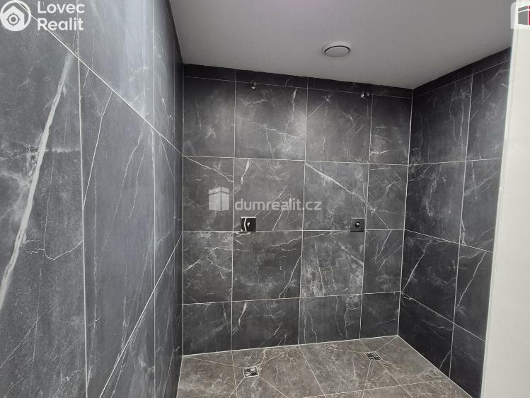 Prodej obchodního prostoru Plzeň, Plaská č. 6