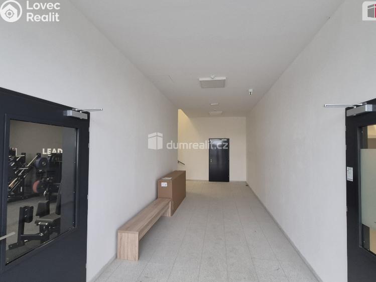 Prodej obchodního prostoru Plzeň, Plaská č. 7