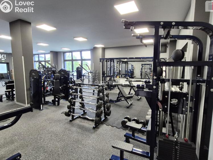 Prodej obchodního prostoru Plzeň, Plaská č. 9