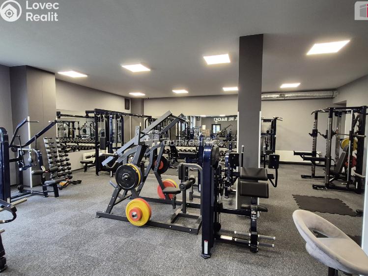 Prodej obchodního prostoru Plzeň, Plaská č. 10