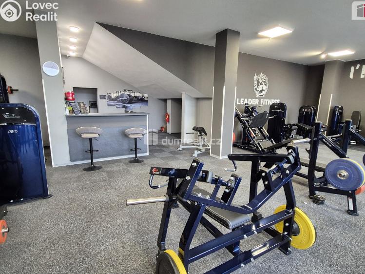 Prodej obchodního prostoru Plzeň, Plaská č. 11