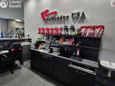 Prodej obchodního prostoru Plzeň, Plaská č. 2