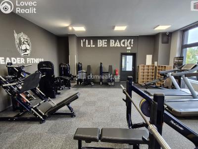 Prodej obchodního prostoru Plzeň, Plaská č. 3