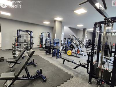 Prodej obchodního prostoru Plzeň, Plaská č. 4