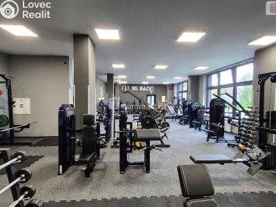 Prodej obchodního prostoru Plzeň, Plaská č. 5