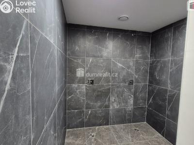 Prodej obchodního prostoru Plzeň, Plaská č. 6