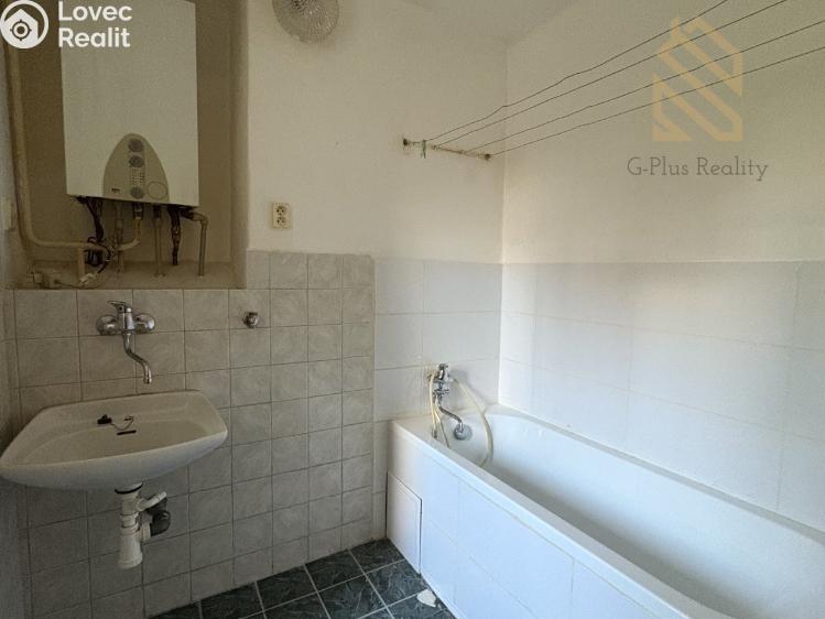 Pronájem bytu 2+1 Bílina, Lidická 394/7 č. 3