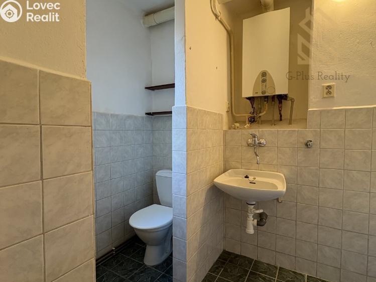 Pronájem bytu 2+1 Bílina, Lidická 394/7 č. 7