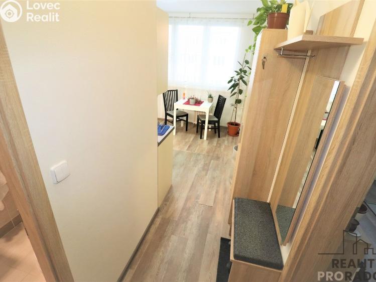 Pronájem bytu 1+1 Ostrava, Petra Křičky 2711/8 č. 7