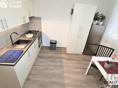 Rent apartment 1+1 Ostrava, Petra Křičky č. 4
