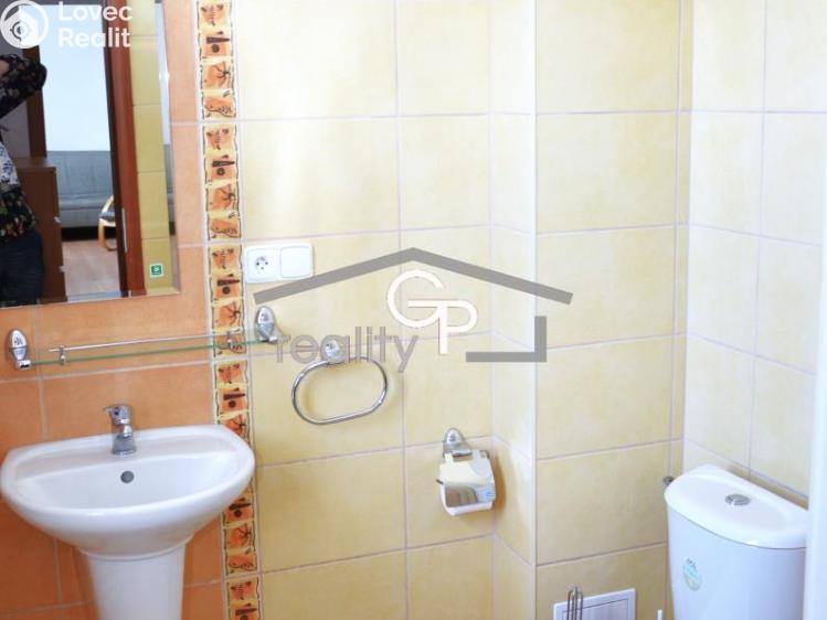 Pronájem bytu 1+KK Lipno nad Vltavou č. 6