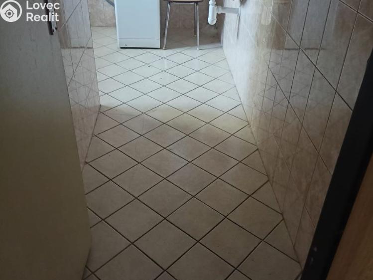 Pronájem bytu 1+KK Vavřinec č. 13