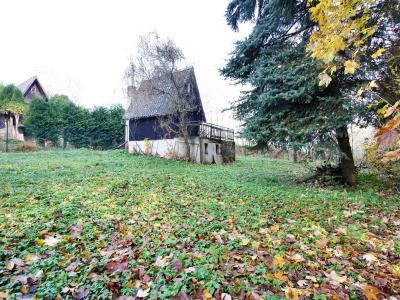 Sale hut Bílichov č. 2