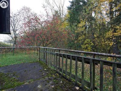 Sale hut Bílichov č. 6