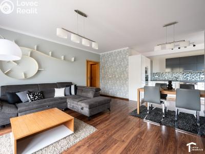Rent apartment 3+KK Pardubice, Labský Palouk 495 č. 2