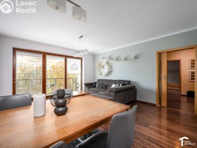 Rent apartment 3+KK Pardubice, Labský Palouk 495 č. 3