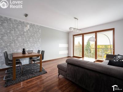Rent apartment 3+KK Pardubice, Labský Palouk 495 č. 4