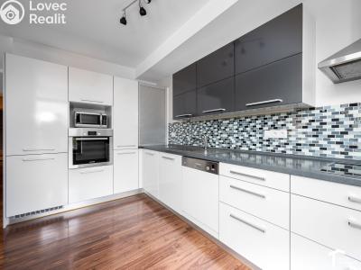 Rent apartment 3+KK Pardubice, Labský Palouk 495 č. 6