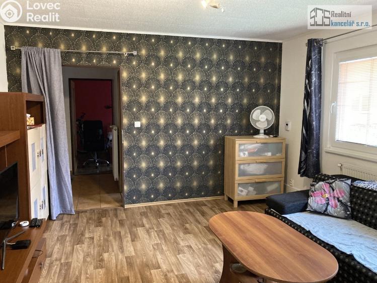 Prodej bytu 2+1 Boskovice, Vodní č. 20