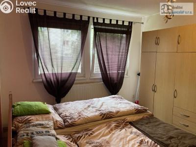 Продажа квартиры 2+1 Boskovice, Vodní č. 6