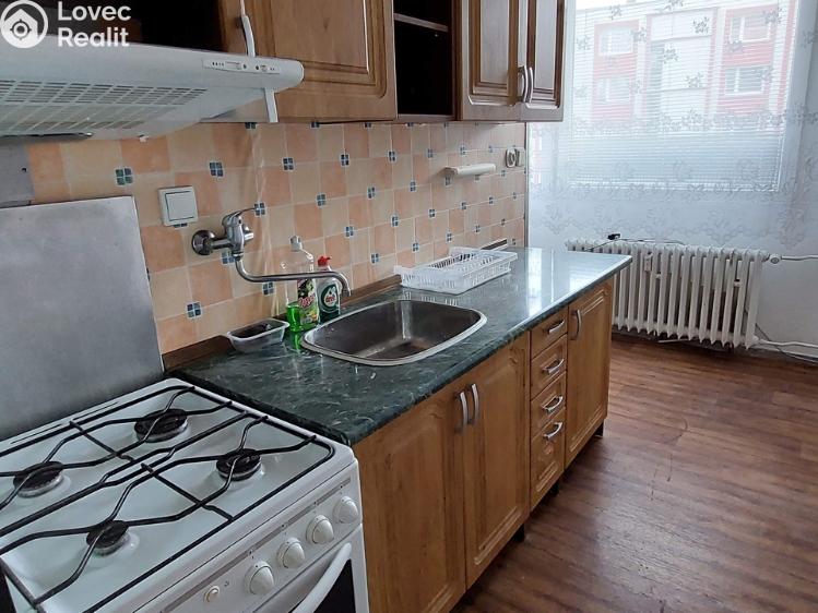 Rent apartment 1+1 Ústí nad Labem, Stará č. 3