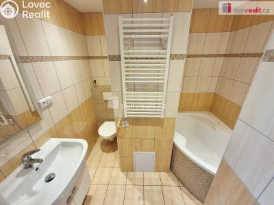 Rent apartment 1+1 Roudnice nad Labem, Bořivojova č. 4
