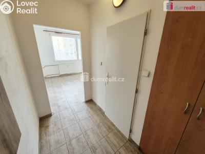 Rent apartment 1+1 Roudnice nad Labem, Bořivojova č. 5