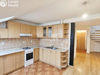 Rent apartment 2+KK Kolín, Politických vězňů č. 1