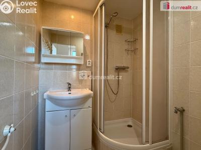 Rent apartment 2+1 Karlovy Vary, Okružní č. 4