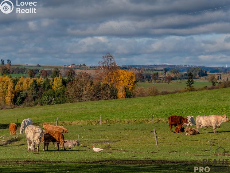 Sale family house Luka nad Jihlavou č. 29