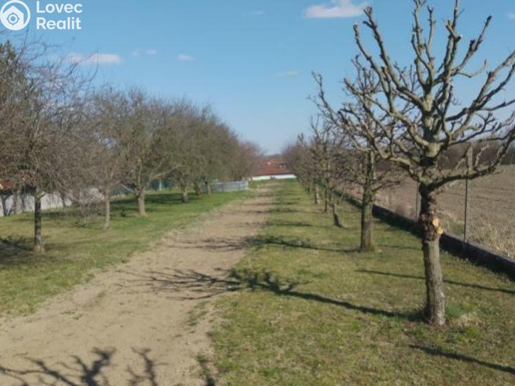 Prodej rodinného domu Věžky, Věžky č. 18