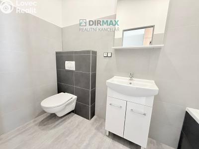 Pronájem bytu 1+1 Plzeň, Mikulášská č. 5