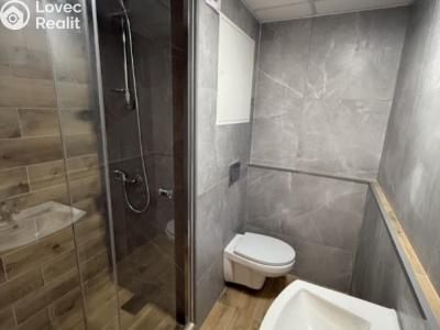 Prodej bytu 1+1 Chomutov, Skalková č. 2