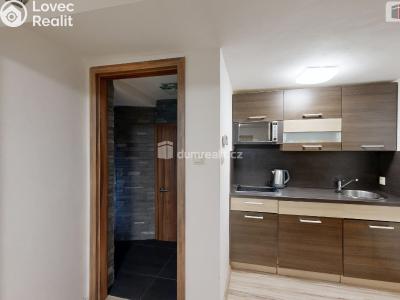 Pronájem bytu 2+KK Vítkov, Hřbitovní č. 4